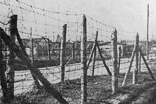 Концентрационный лагерь Саласпилс. 1944 г. Фото: РИА Новости
