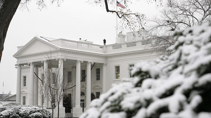 Белый дом, Вашингтон / Фото: rt.com