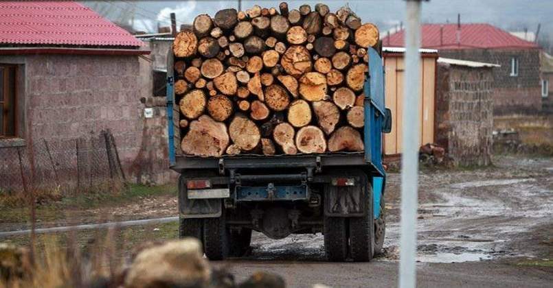 Власти Молдовы договорились о закупке дров в Румынии