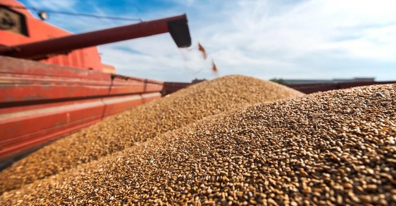 Литва и Польша просят ЕС принять единое решение по запрету импорта российского зерна