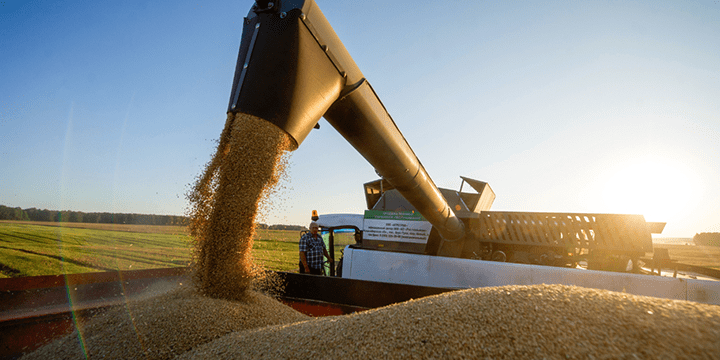 Россия – крупнейший в мире экспортер пшеницы