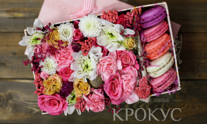 Цветы в коробке от компании Krokus