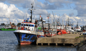 Прибалтийские грузовые порты потеряли пятую часть грузооборота