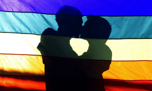 Закон о сожительствах был одобрен парламентом Эстонии 9 октября 2014 года и вступил в силу с 1 января 2016 года