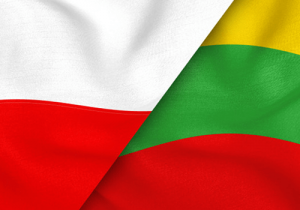 Объявленная литовскими властями «перезагрузка» отношений с Польшей продолжает вызывать скепсис и досаду