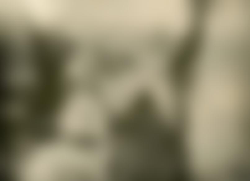 Жители деревни Чухонские Заходы, расстрелянные фашистами 24 февраля 1944 г. в помещении глинобитной риги. Из фондов Государственного архива Псковской области.