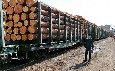 В РЖД заявили о готовности перевозить в порты России белорусские удобрения и лес