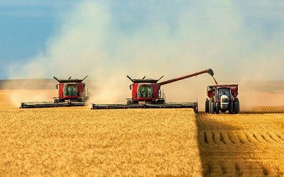 Россия вернулась в число главных экспортеров зерна в Евросоюз