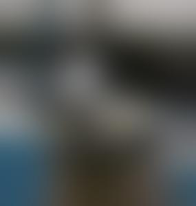 В Латвии опасаются утраты национальной ценности из-за нового плана охраны моря