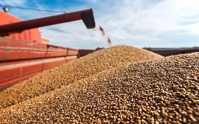 Литва и Польша просят ЕС принять единое решение по запрету импорта российского зерна