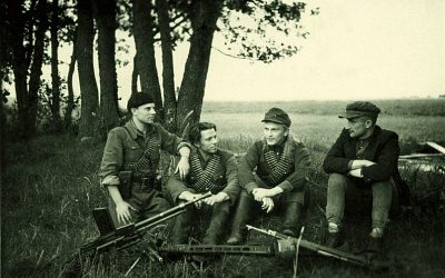 После войны «лесные братья» в Литве являлись большой проблемой. Как советской власти удалось ее решить?