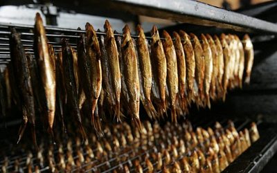 Экономист: «Латвийские рыбные компании будут тихо умирать»