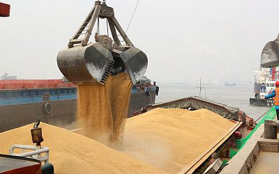 Украина и Запад не сдержали обещаний: Россия отменяет зерновую сделку