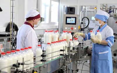 Беларусь на фоне санкций увеличила экспорт молочных продуктов в Европу