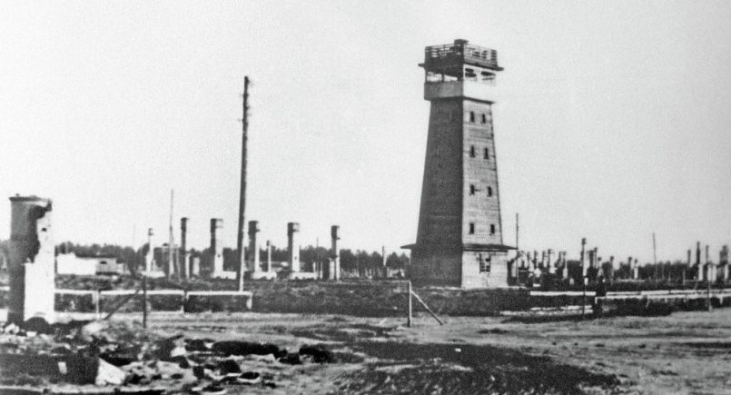 У малюток кровь брали, как у взрослых: детский лагерь смерти Саласпилс