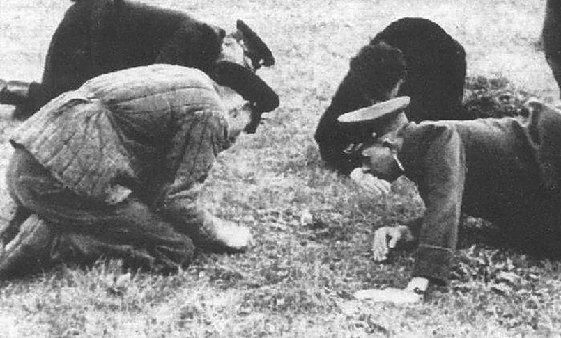 Заметил испарения у корней дерева в овраге: как советские спецслужбы обнаруживали бандеровские схроны