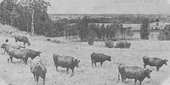 Прибалтика между мировыми войнами: «аграризация» и эмиграция