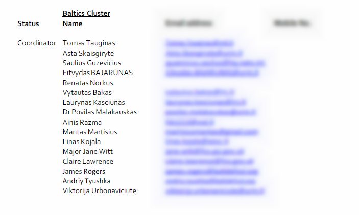 Список участников «Балтийского кластера», скриншот с сайта ru.scribd.com