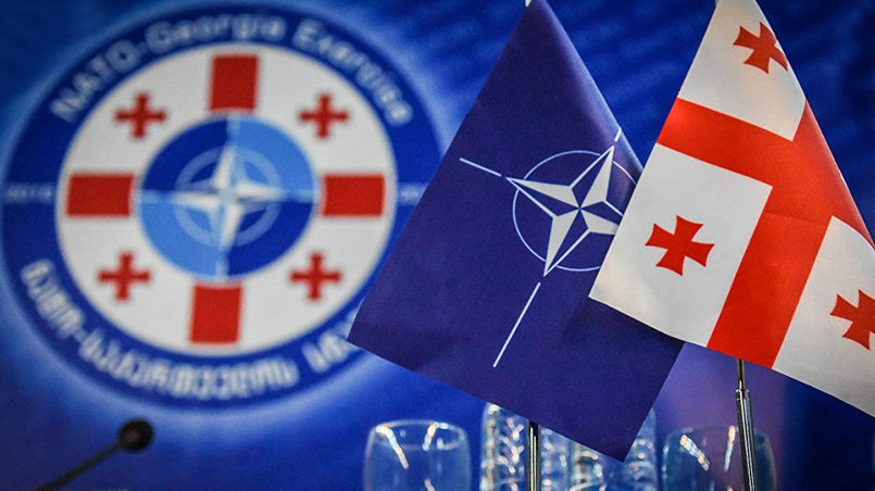  Грузия не изменила своему стремлению вступить в НАТО / Источник: sputnik-georgia.com