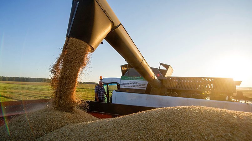 Международный совет по зерну прогнозирует, что в 2017/18 с/х году Россия выйдет на второе место по экспорту зерна (до 44 млн тонн) / Фото: expert.ru