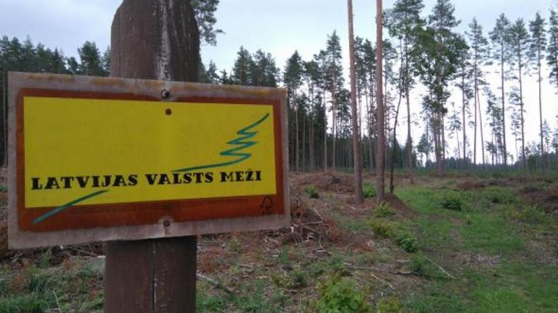 Сегодня в Латвии происходит масштабная вырубка ценного леса на нужды западных корпораций