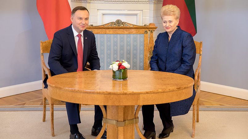 Анджей Дуда и Даля Грибаускайте на встрече в Вильнюсе, февраль 2018 года. Фото: zw.lt