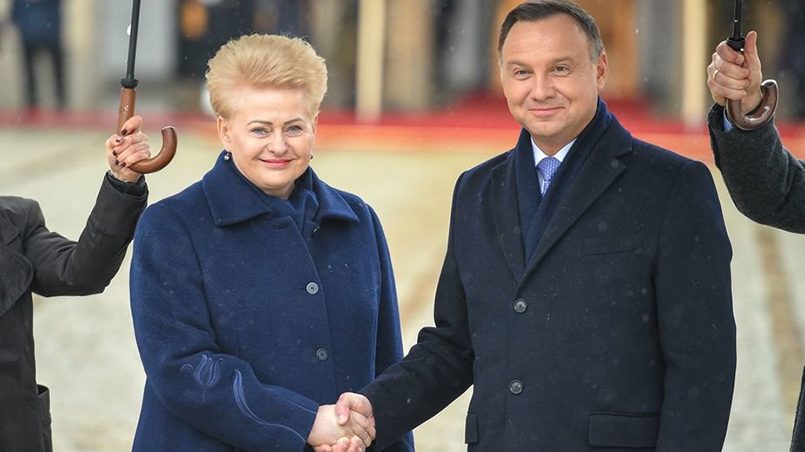 Встреча президента Литвы Дали Грибаускайте и президента Польши Анджея Дуды / Фото: сайт президента Литвы