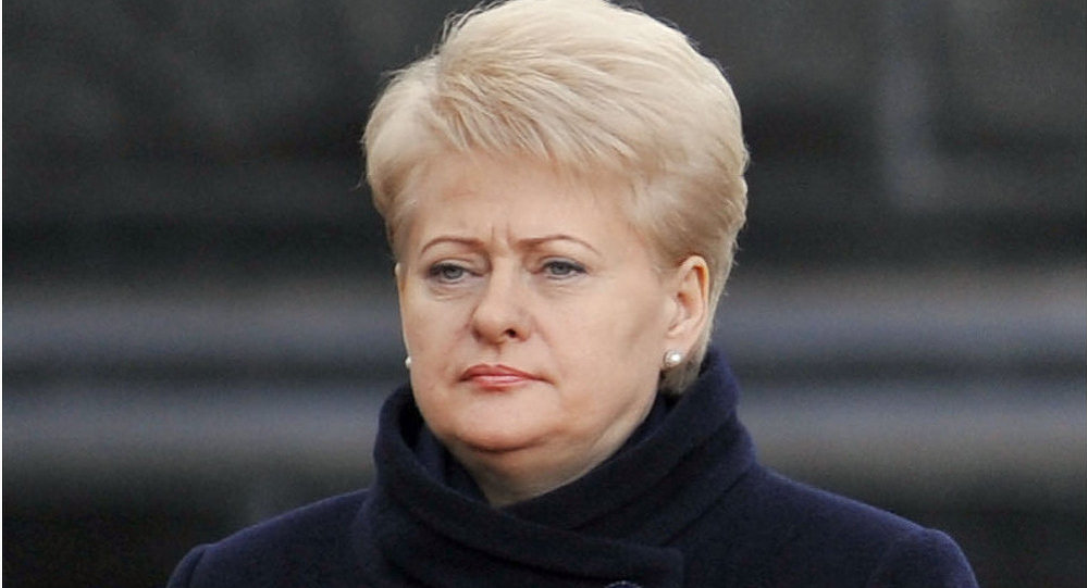 Кто сейчас президент литвы