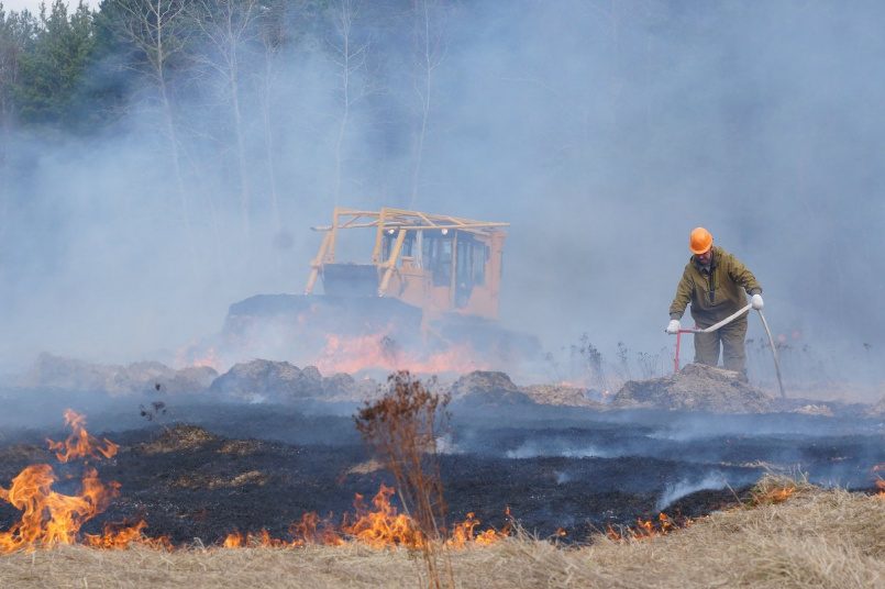 За неделю в России потушили более 500 лесных пожаров