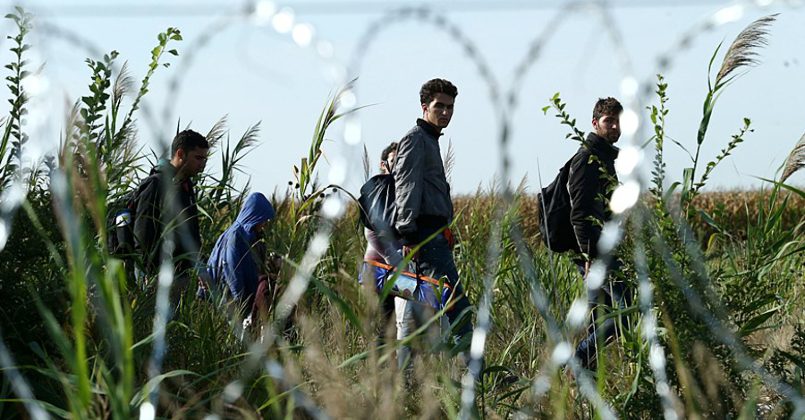 Литва вопреки решению ЕСПЧ отказалась пускать мигрантов