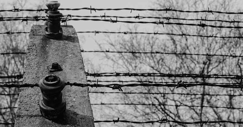 Считалось, что из Освенцима убежать невозможно. Советским военнопленным это удалось