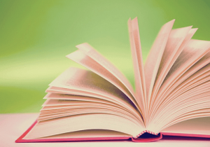 Мы не говорим, что [изложенная в книге Сапожниковой] версия – святая и что было только так, а не иначе.