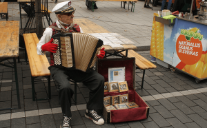 Уличный музыкант на «Ярмарке народов» в Вильнюсе