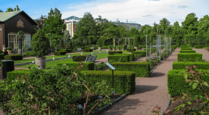 Ботанический сад Tradgardsforeningen