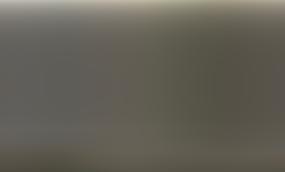 В Генштабе Сил обороны Эстонии расставили приоритеты срочной службы