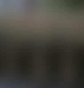 В Генштабе Сил обороны Эстонии расставили приоритеты срочной службы