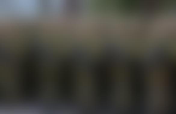 В Генштабе Сил обороны Эстонии расставили приоритеты срочной службы