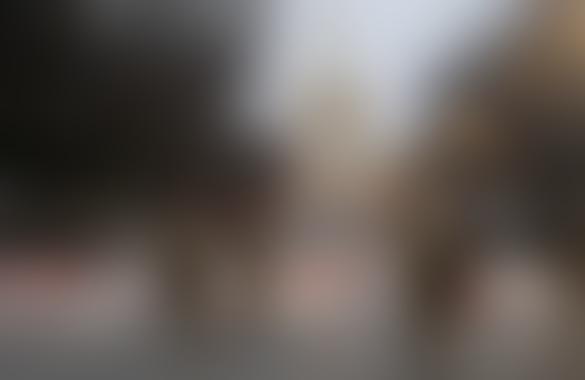 США превращаются в СССР времен репрессий: о симпатиях к Трампу говорят шепотом