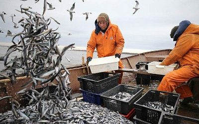 Эстония намерена экспортировать в Китай рыбу и молочные продукты