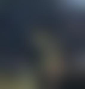 Мигранты создают угрозу дестабилизации Беларуси 