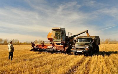 Молдова предоставит Украине инфраструктуру для вывоза зерна