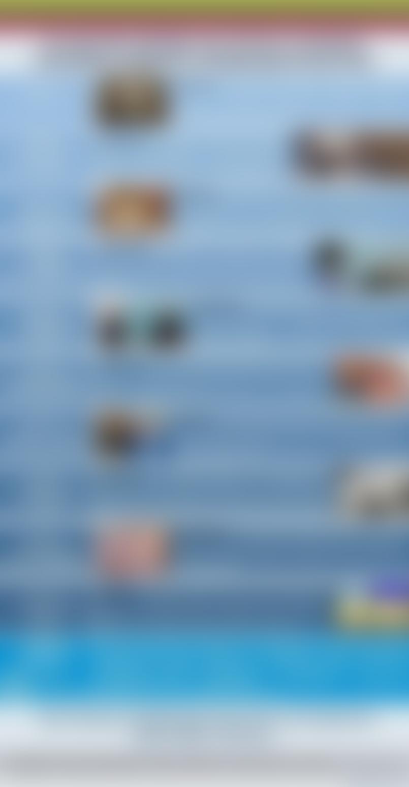 10 шагов Литвы на пути к успеху: хроника одного председательства