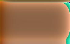 В Молдове стартовала избирательная кампания по местным выборам