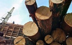 Латвийские лесопромышленники пожаловались на санкции против Беларуси