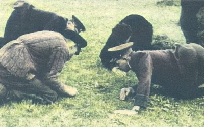 «Погорели на запахе мяса и дымы из-под земли»: как советские спецы находили схроны бандеровцев