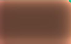 Россиянина Франчетти арестовали в Чехии