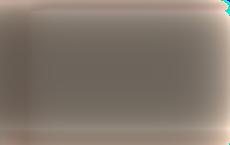 В Фонде поддержки соотечественников пообещали защитить литовского оппозиционера Палецкиса