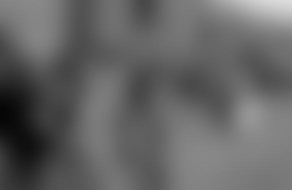 В день памяти прибалтийские элиты демонстрируют лицемерную забывчивость