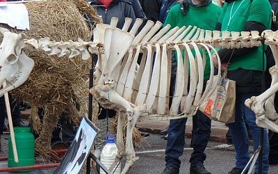 Прибалтийские крестьяне не могут жить без российского рынка