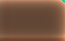 Ведущие вузы США презентовали программы для обучения латвийской молодежи